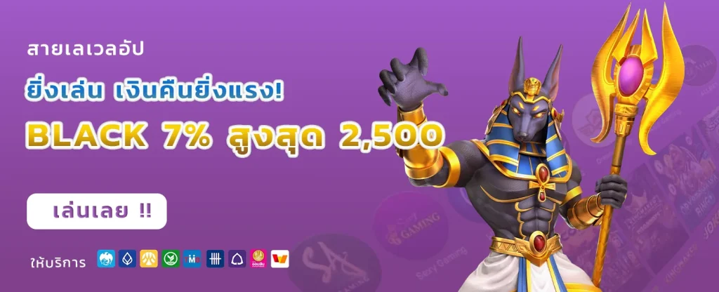 Kingland555